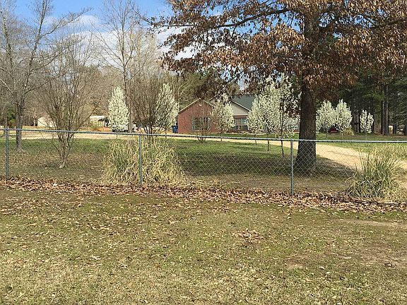Spring view from the street