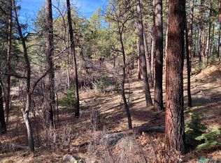 Serenity Dr, Chama, NM 87520
