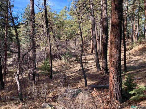 Serenity Dr, Chama, NM 87520