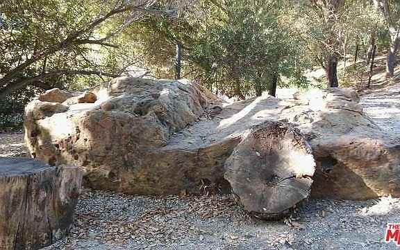 5th image of 301 B Old Topanga Canyon Rd