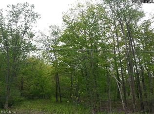 Plank Rd, Montville, OH 44064