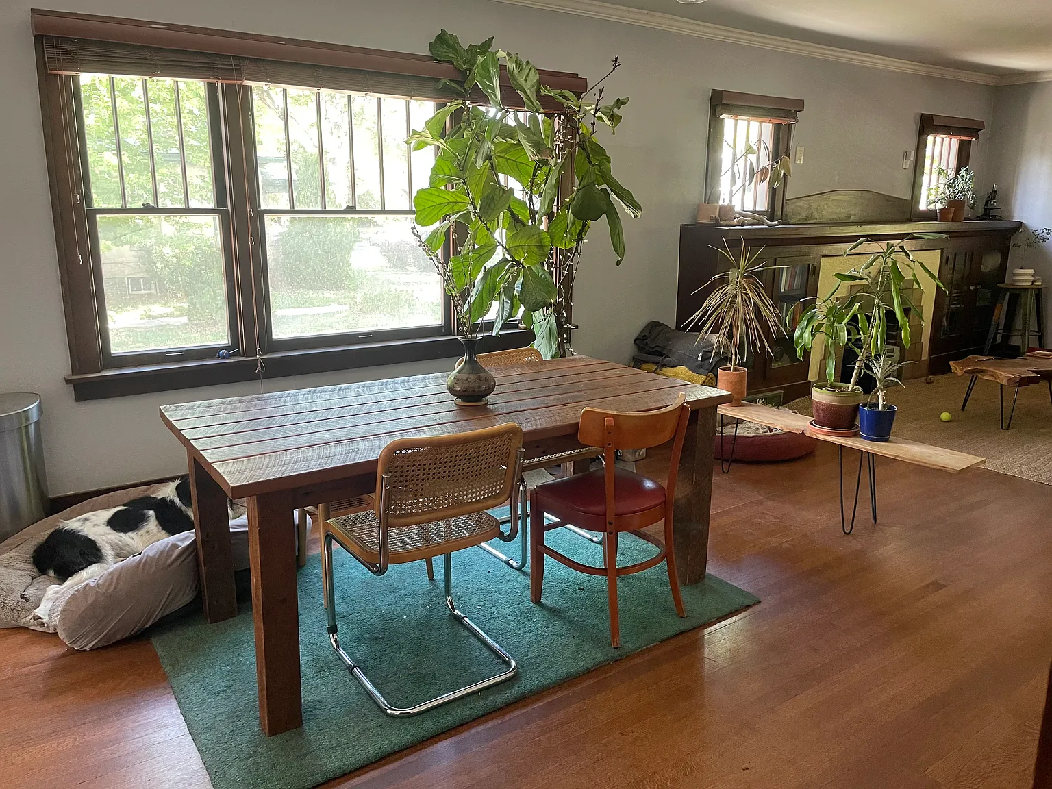 5 bed, 2448 sqft, $4,250 — Photo 4