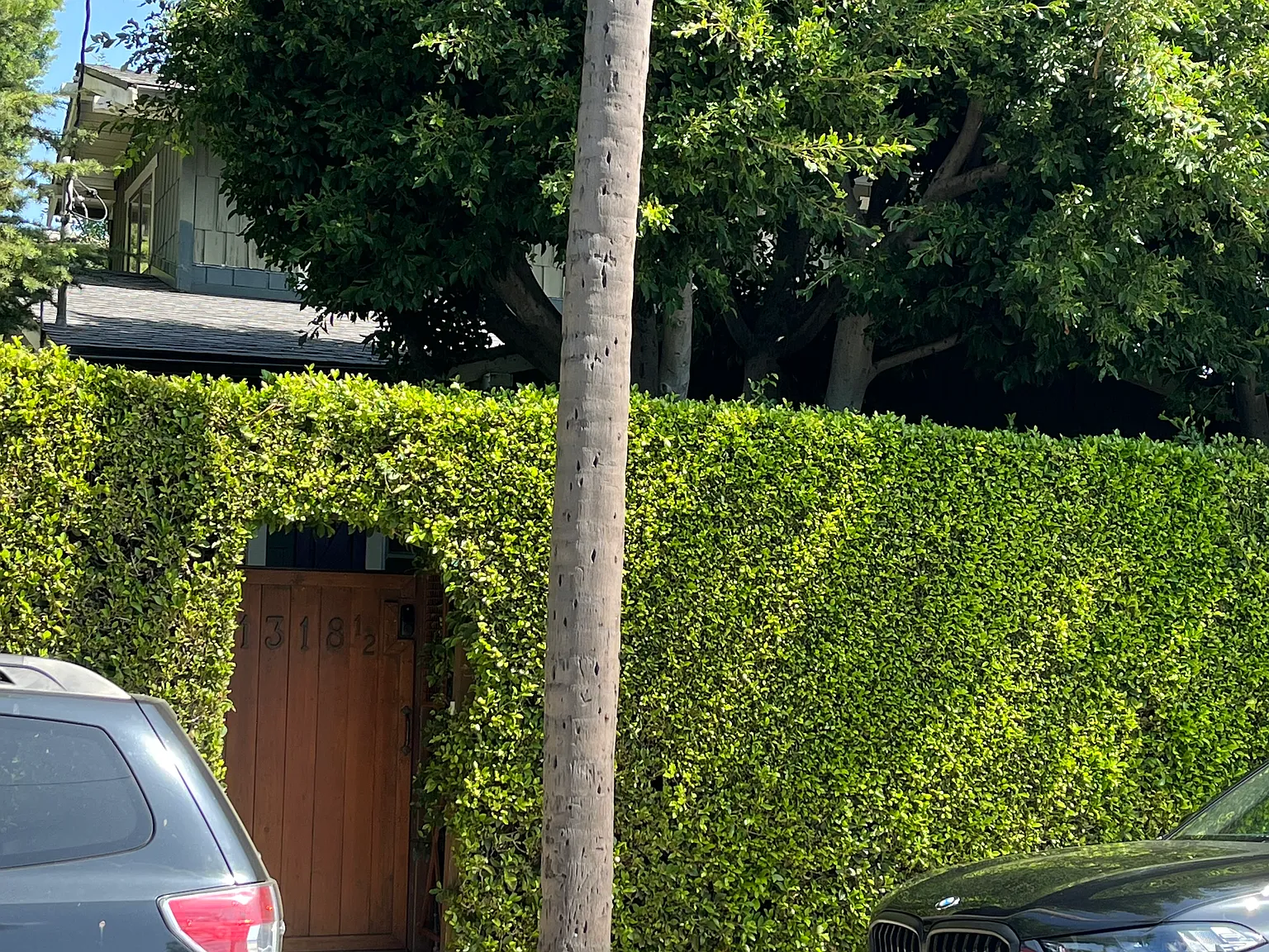 2 bed, 1000 sqft, $3,000 — Photo 1