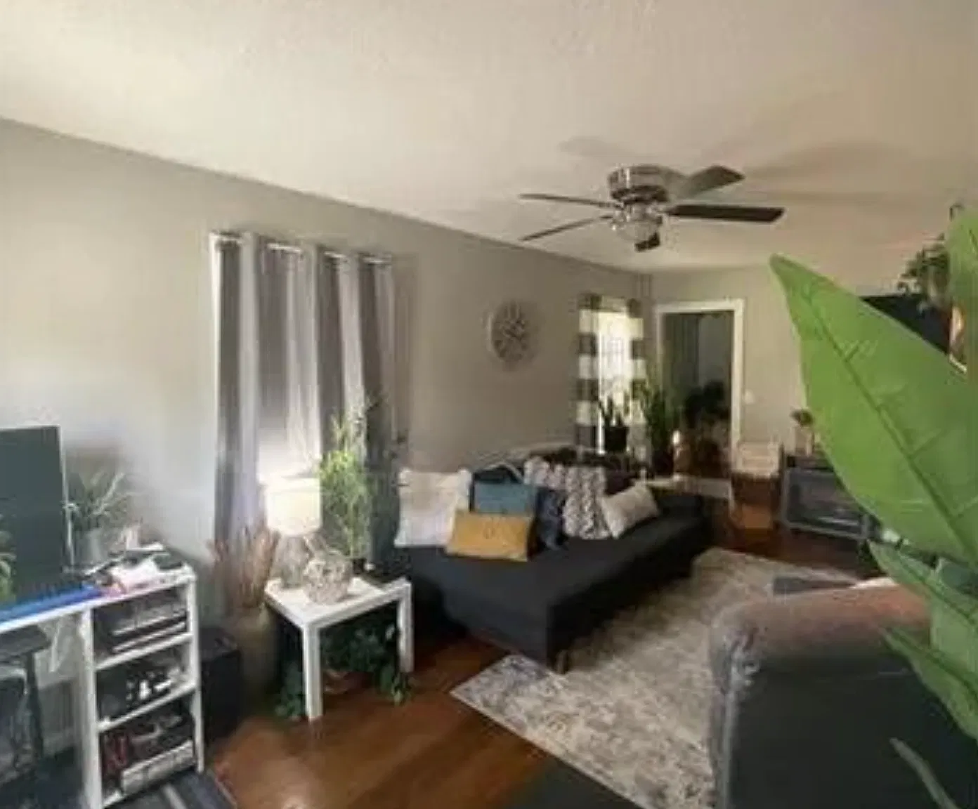 2 bed, 800 sqft, $1,550 — Photo 4