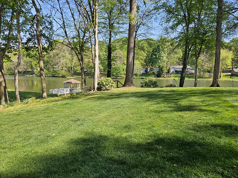 Back/side yard view