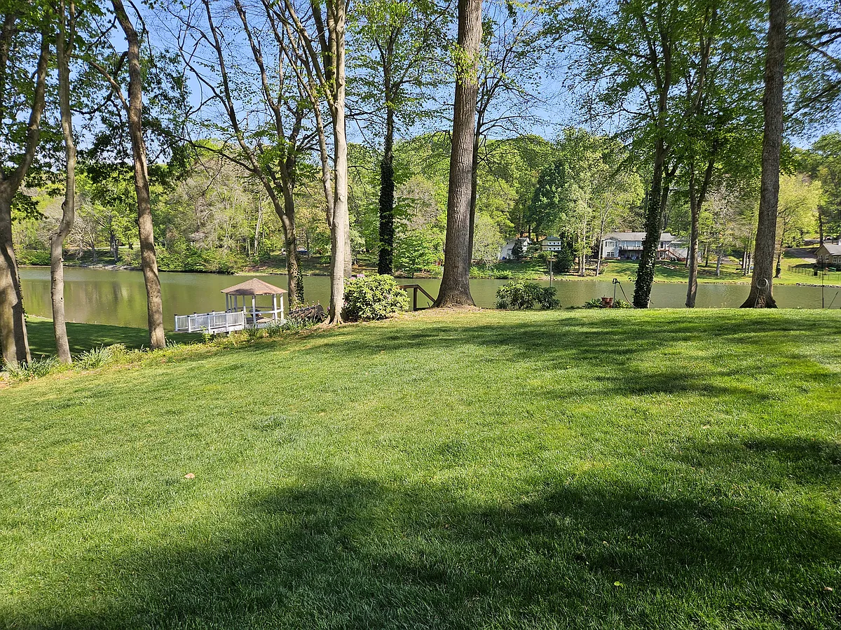 Back/side yard view - Driftwood Dr