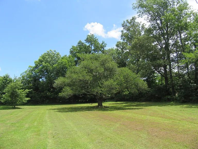 1055 Shillelagh Rd — Photo 23