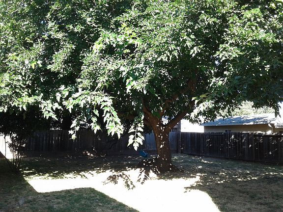 2nd image of 2707 Aida Ave