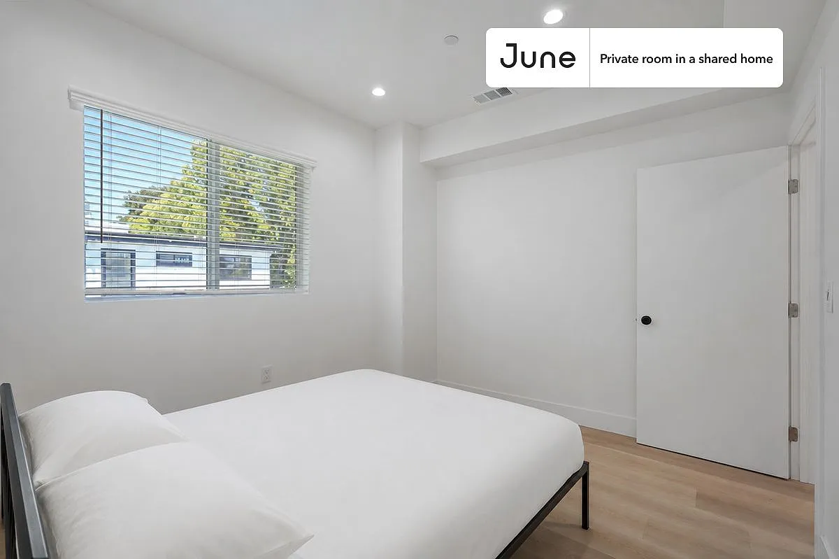 Queen bedroom in 4 bed/3 bath home in Hollywood #1857 C — Photo 1