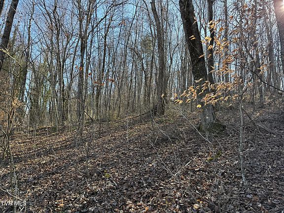 2nd image of Lots 1 4 Bishop Hollow Rd