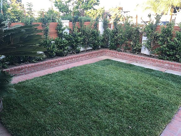 Front Lawn - East