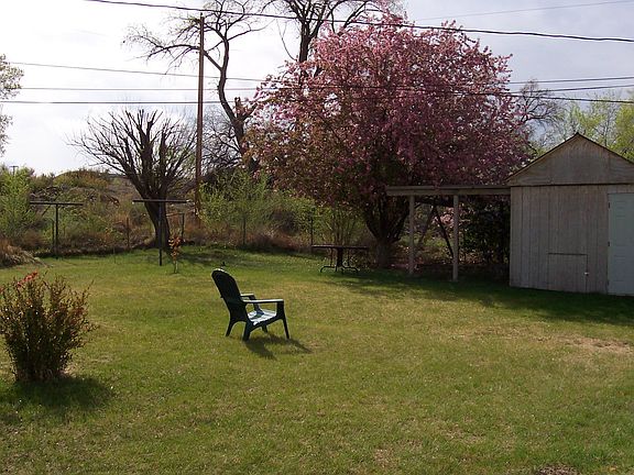 back yard