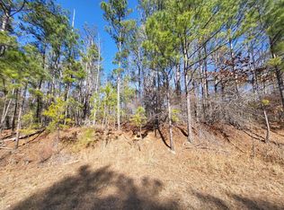 81 Old Ferry Rd, Sparta, GA 31087