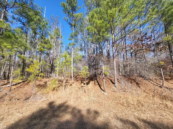 81 Old Ferry Rd, Sparta, GA 31087