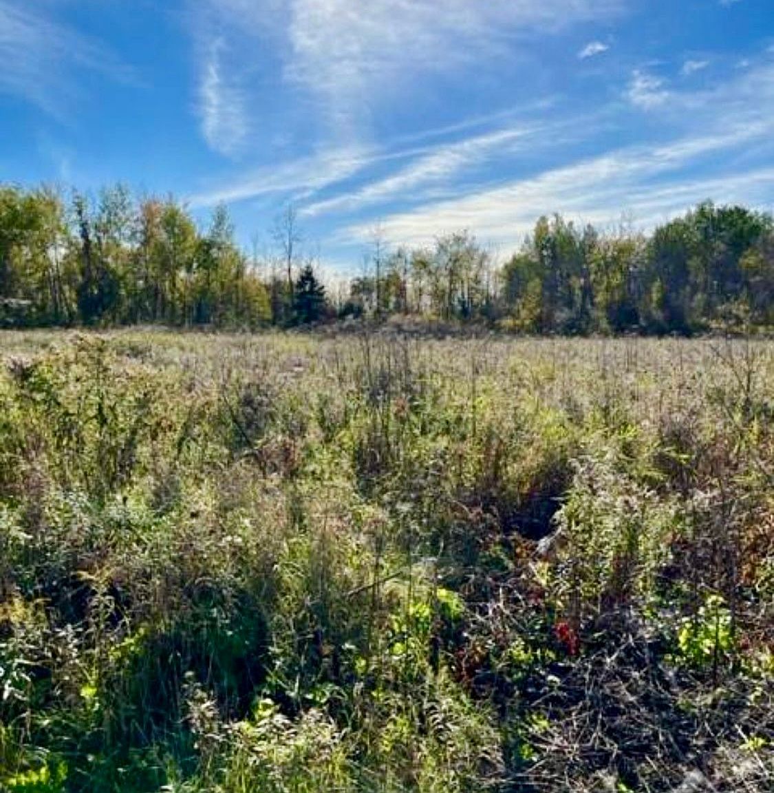 26 Honey Bee Grve Stittsville