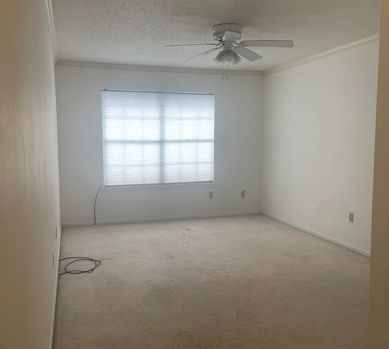 3 bed, 1297 sqft, $1,650 — Photo 2