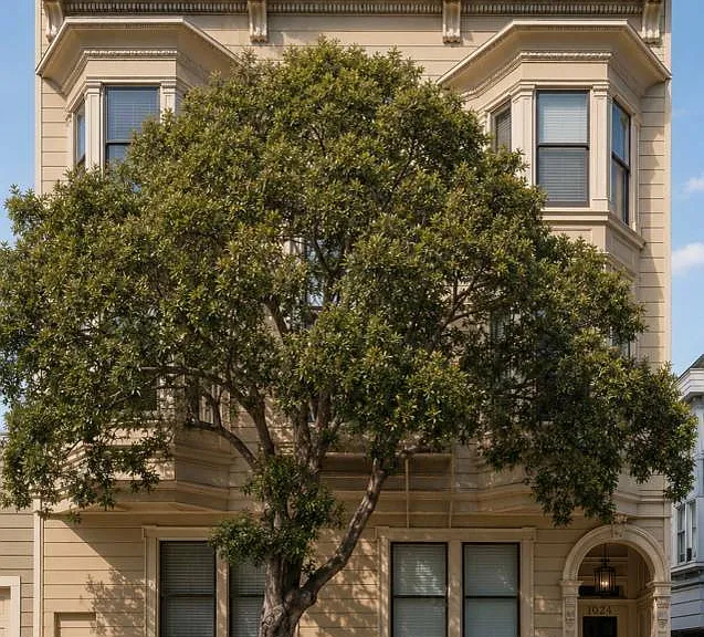 3064 Sacramento St #3 — Photo 20