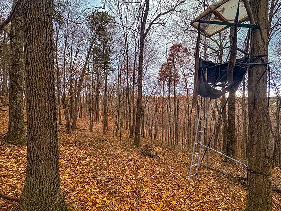 23rd image of this home