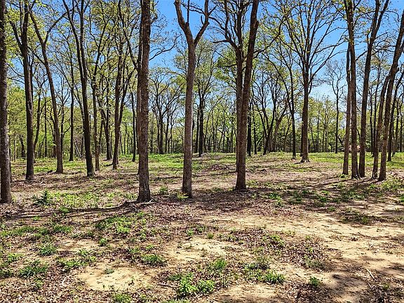2nd image of 13 Buck Trail Rd