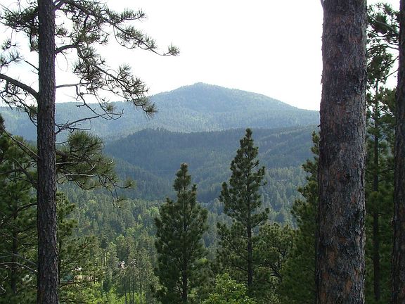 5th image of LOT 29 Golden Eagle Pl