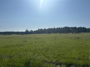 13 Harriett Ward Rd, Custer, SD 57730
