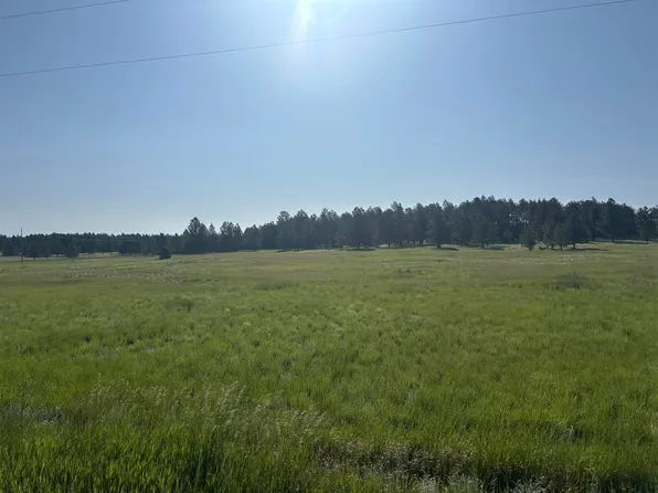 13 Harriett Ward Rd, Custer, SD 57730