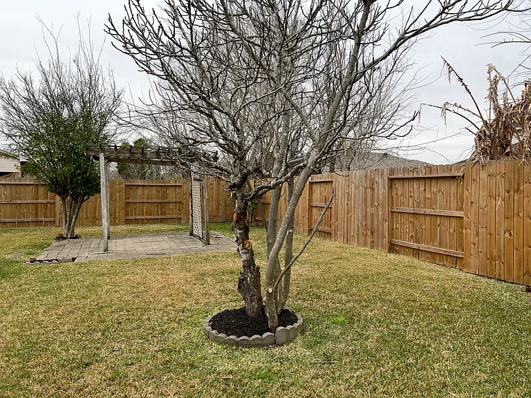 10009 Hidden Falls Dr — Photo 5