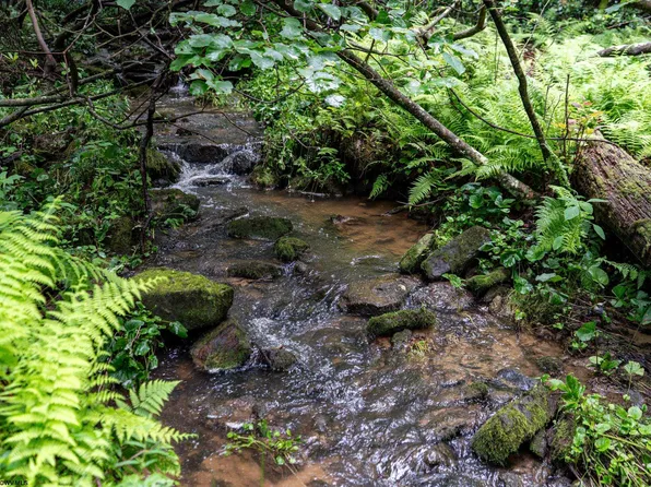 Beaver Creek Dr, Bruceton Mills, WV 26525