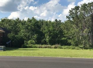 LOT K2 Blue Heron Cir, Tavares, FL 32778