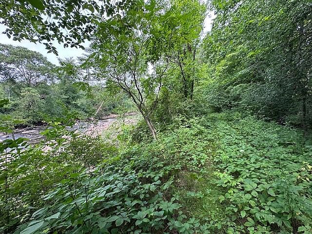 2nd image of 203 Joe Wood Rd