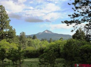 TBD Peninsula Drive, Placerville, CO 81430