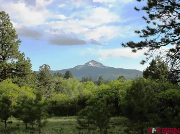 TBD Peninsula Drive, Placerville, CO 81430