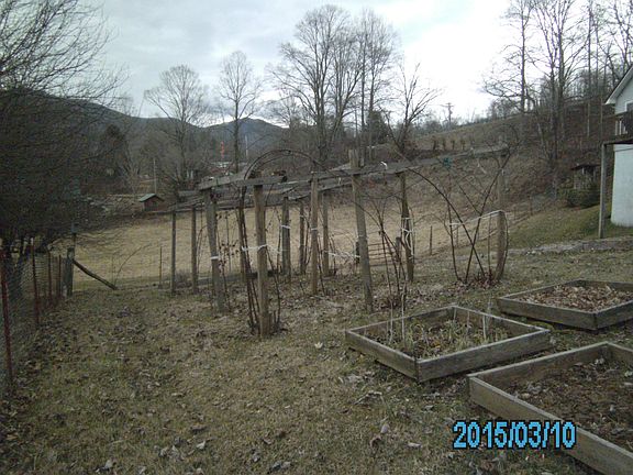 3rd image of 479 Bear Cage Road ##1