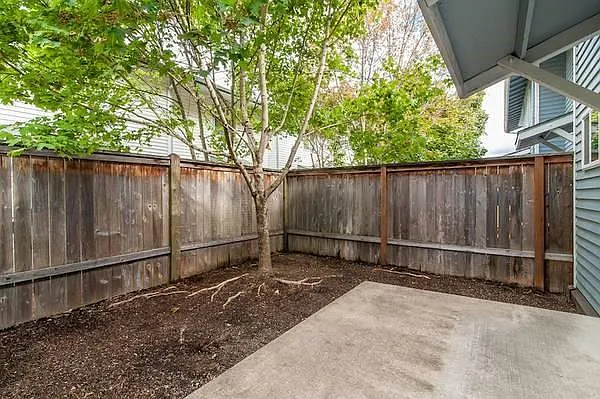 4885 Aster St — Photo 8