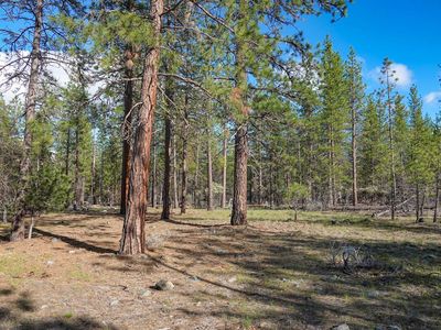 0 Whispering Pnes, Greenview, CA, 96037