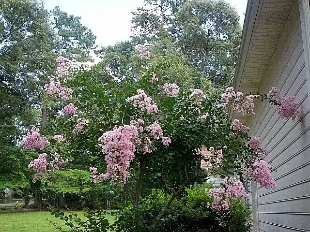 1st image of 123 Woodland Dr