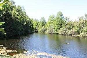 Tranquil Conservation view