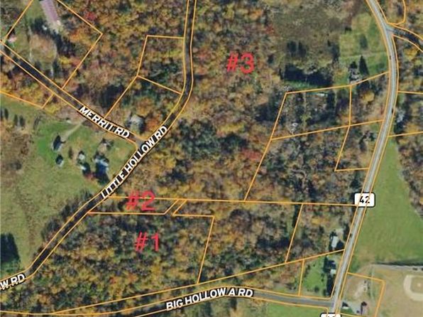 TBD0002 Little Hollow, Grahamsville, NY 12740
