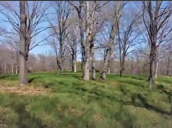 3rd image of 6 Timber Ridge Estate Ests #312