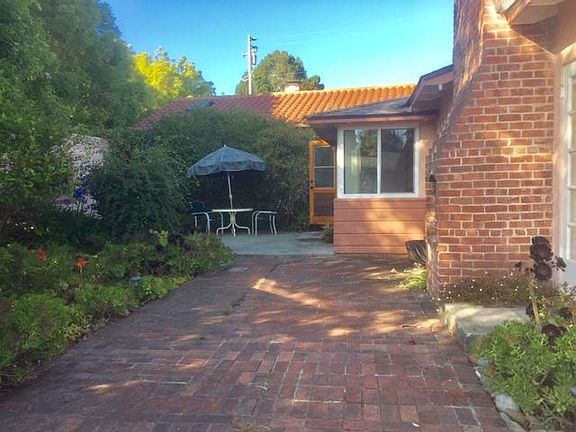 Large, sunny back yard