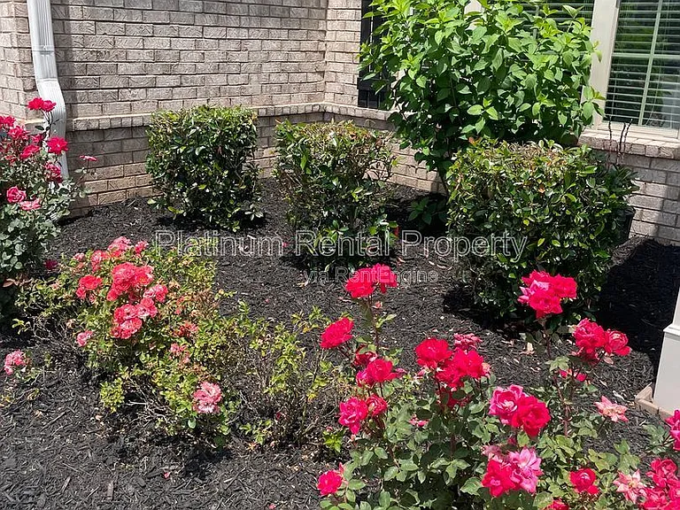 1825 Dahlia Dr — Photo 10