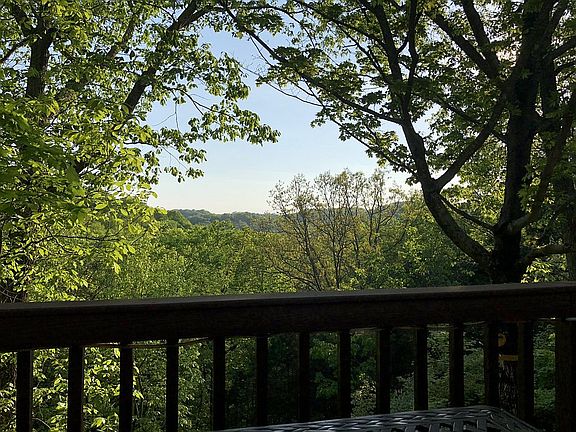 View from Deck in Summer