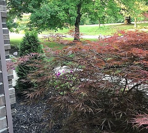 2nd image of 4543 Hutchinson Glen Dr