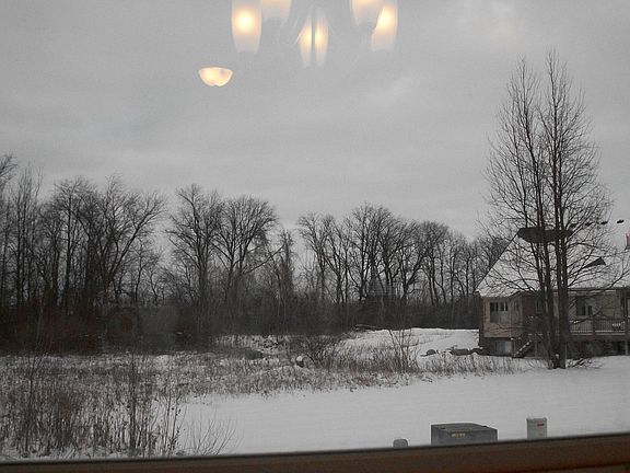 backyard view