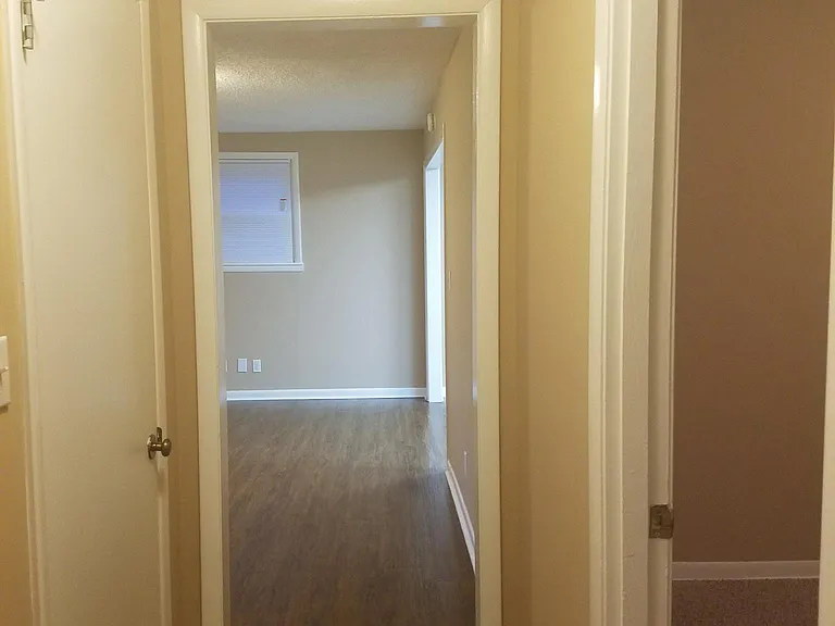 402 South Ct — Photo 7