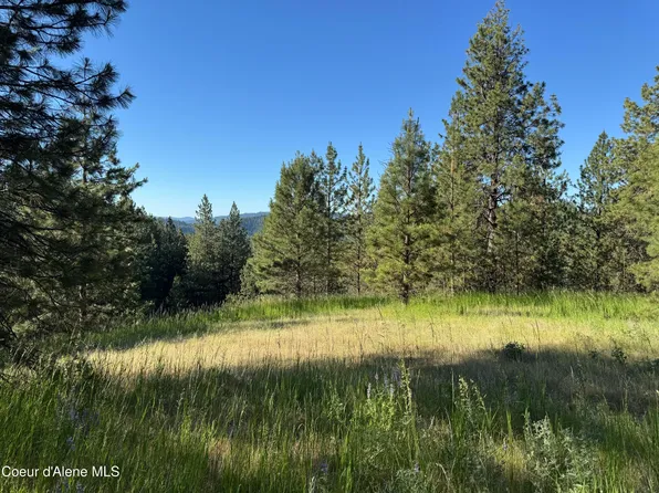 Nka Reynolds Rd Lot 2-S, Coeur D Alene, ID 83815