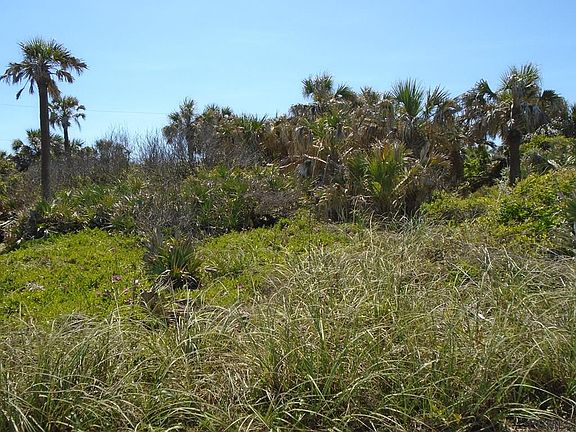 5th image of 1436 S Ocean Shore Blvd