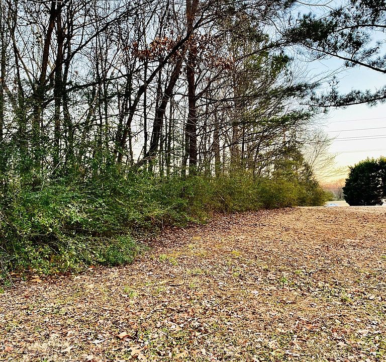 2nd image of 0 Bailey Springs Rd