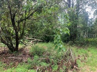 207 W Kelly Park Rd, Apopka, FL 32712