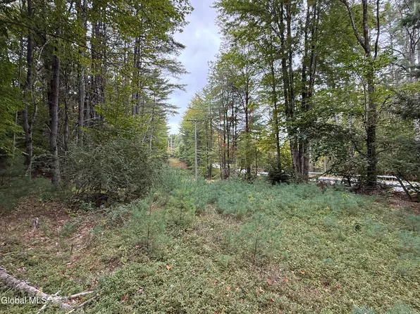 L33 Sawmill Road, Bolton, NY 12814
